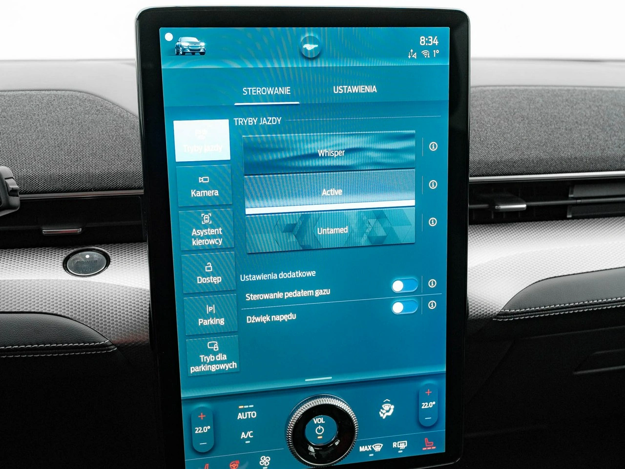 Ford Mustang Mach-E - Zdjęcie 20