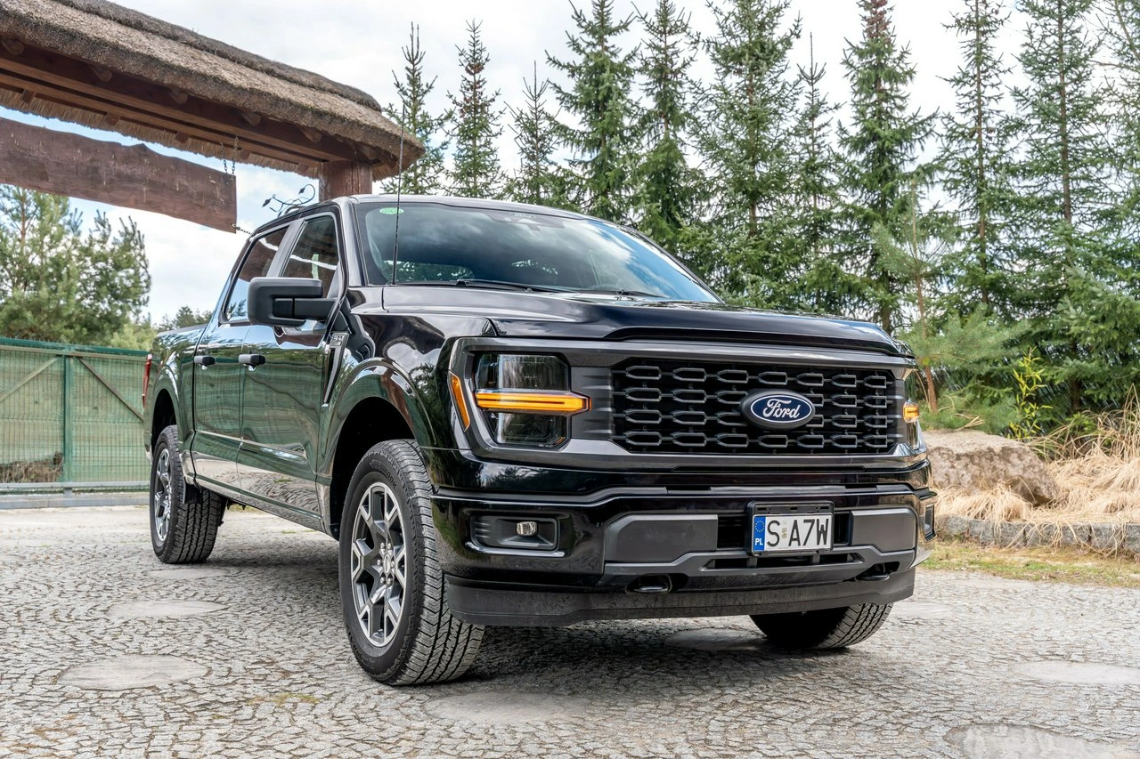 Ford F150 - Zdjęcie 9