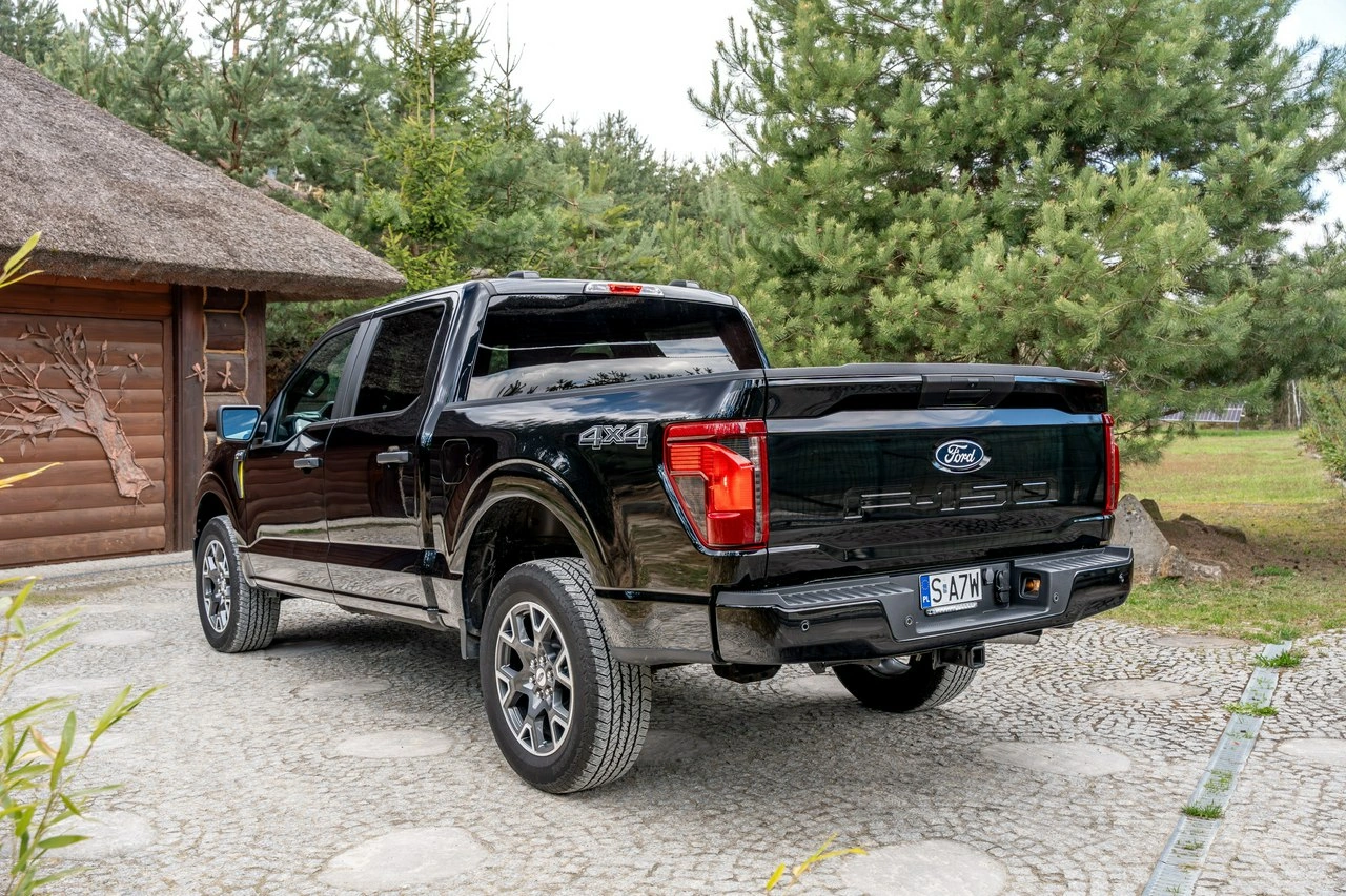 Ford F150 - Zdjęcie 10