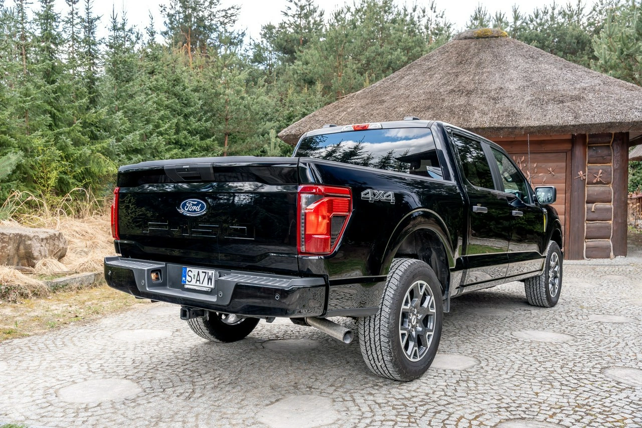 Ford F150 - Zdjęcie 12