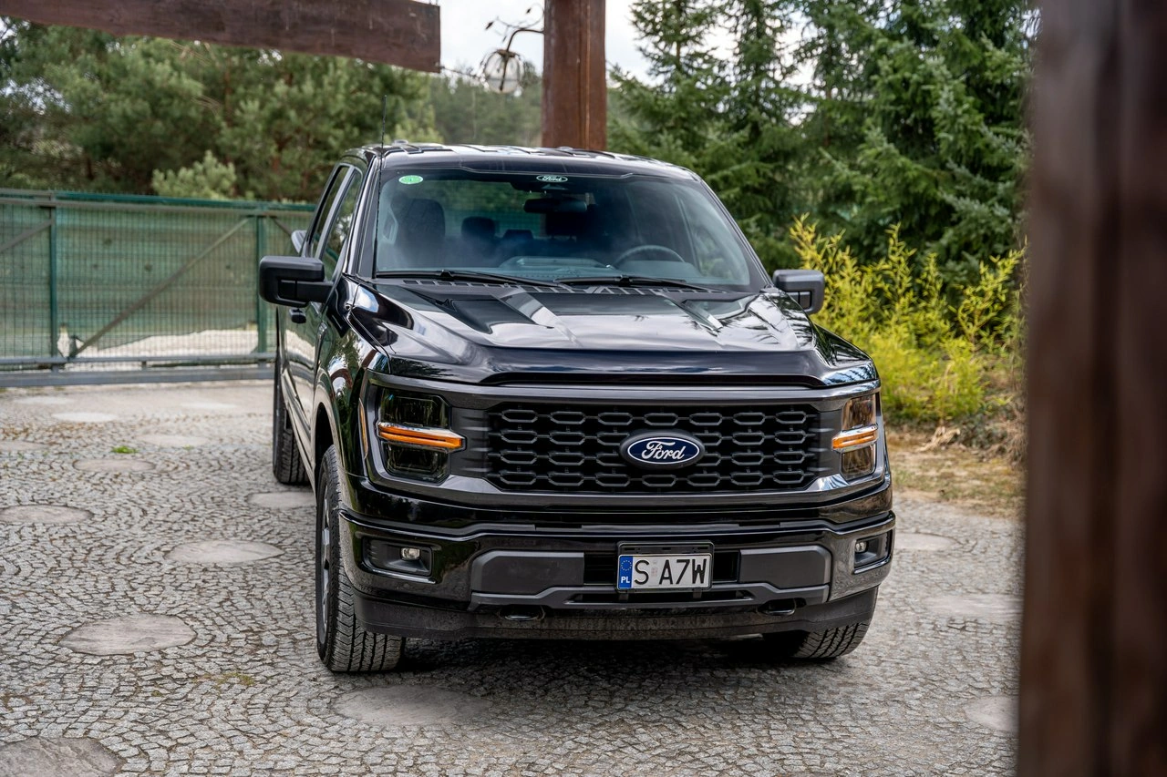 Ford F150 - Zdjęcie 13