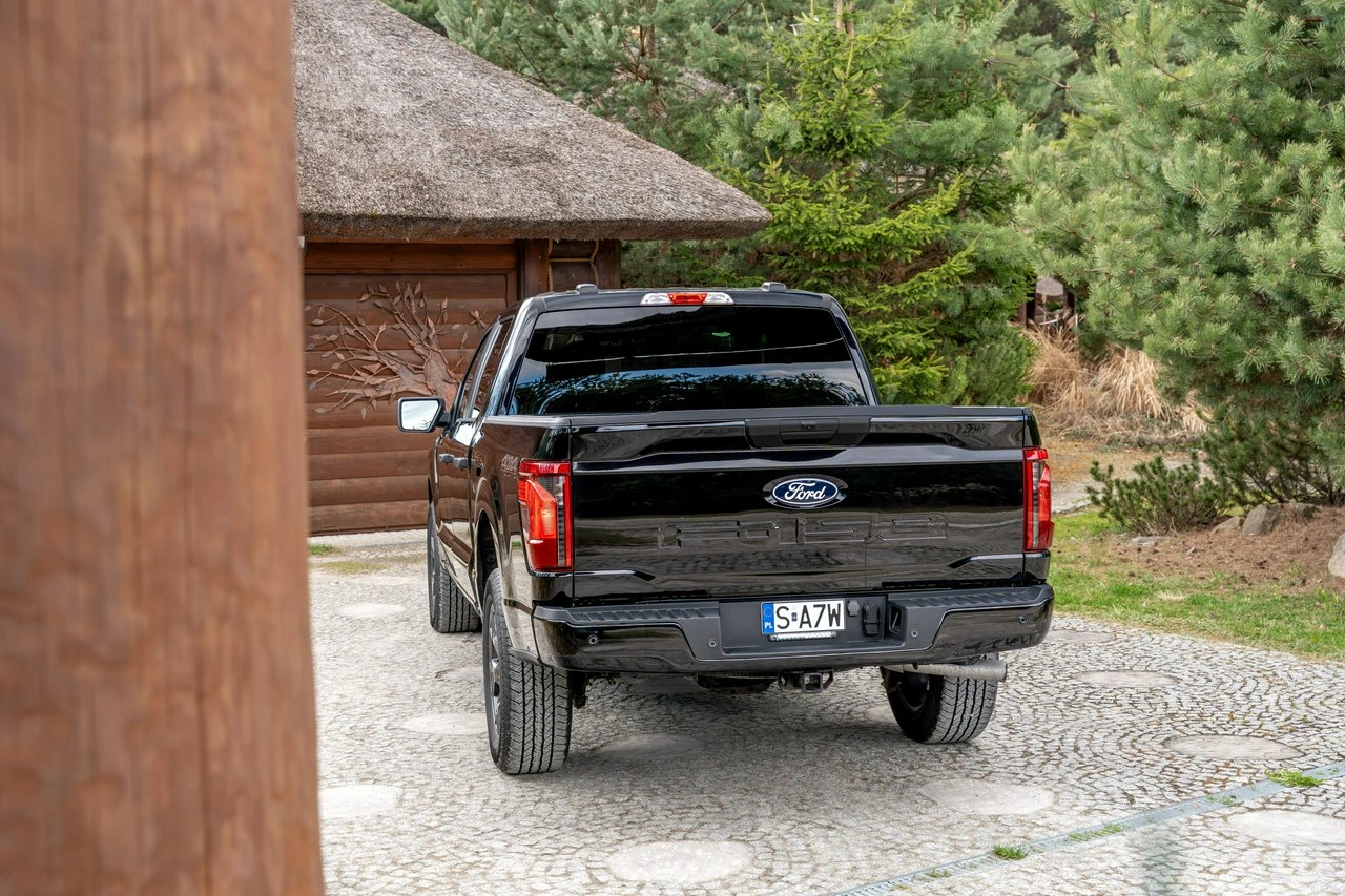 Ford F150 - Zdjęcie 14