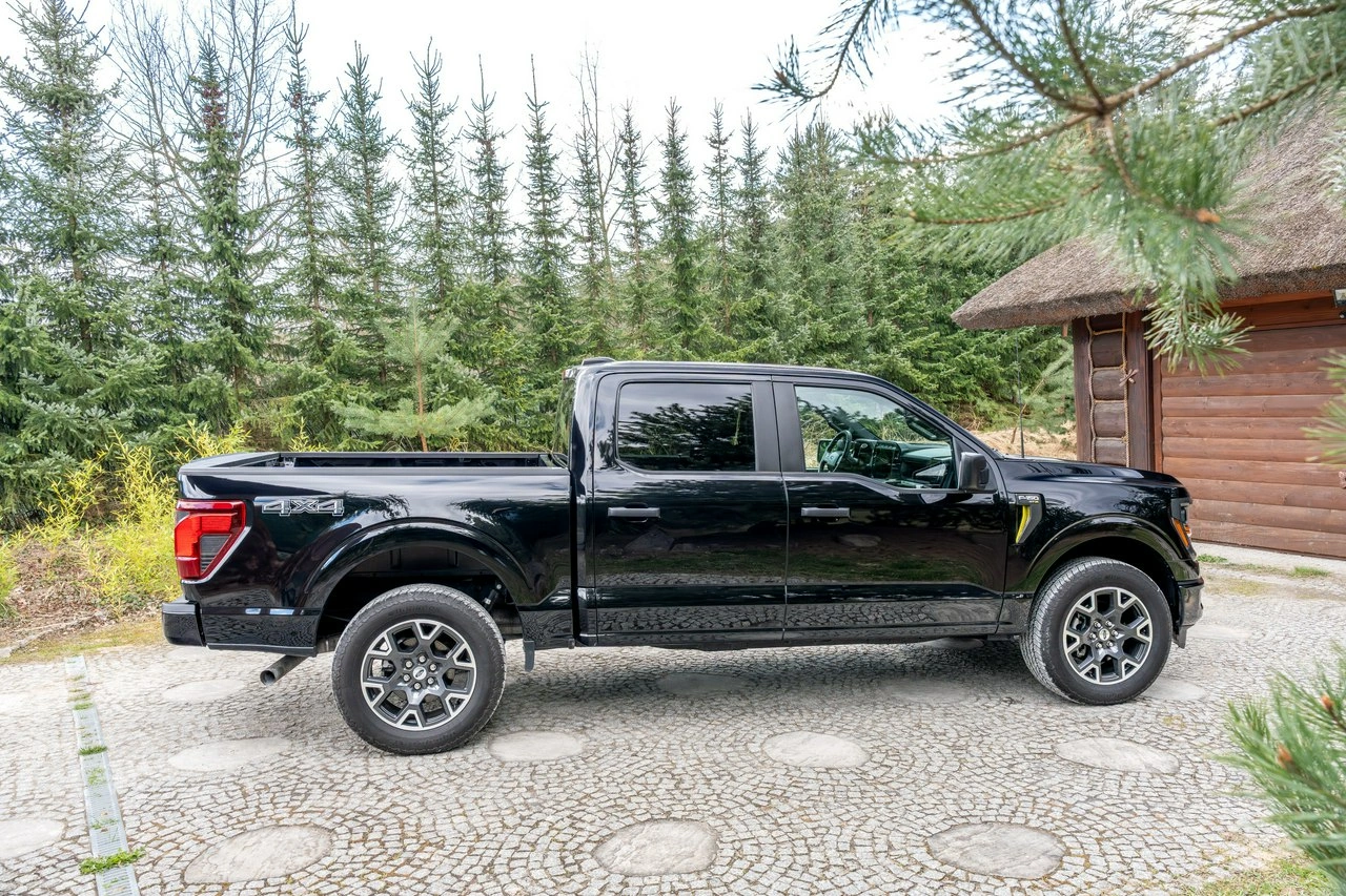 Ford F150 - Zdjęcie 15