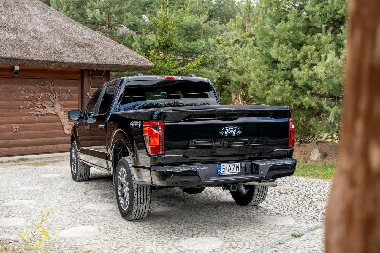 Ford F150 - Zdjęcie 19
