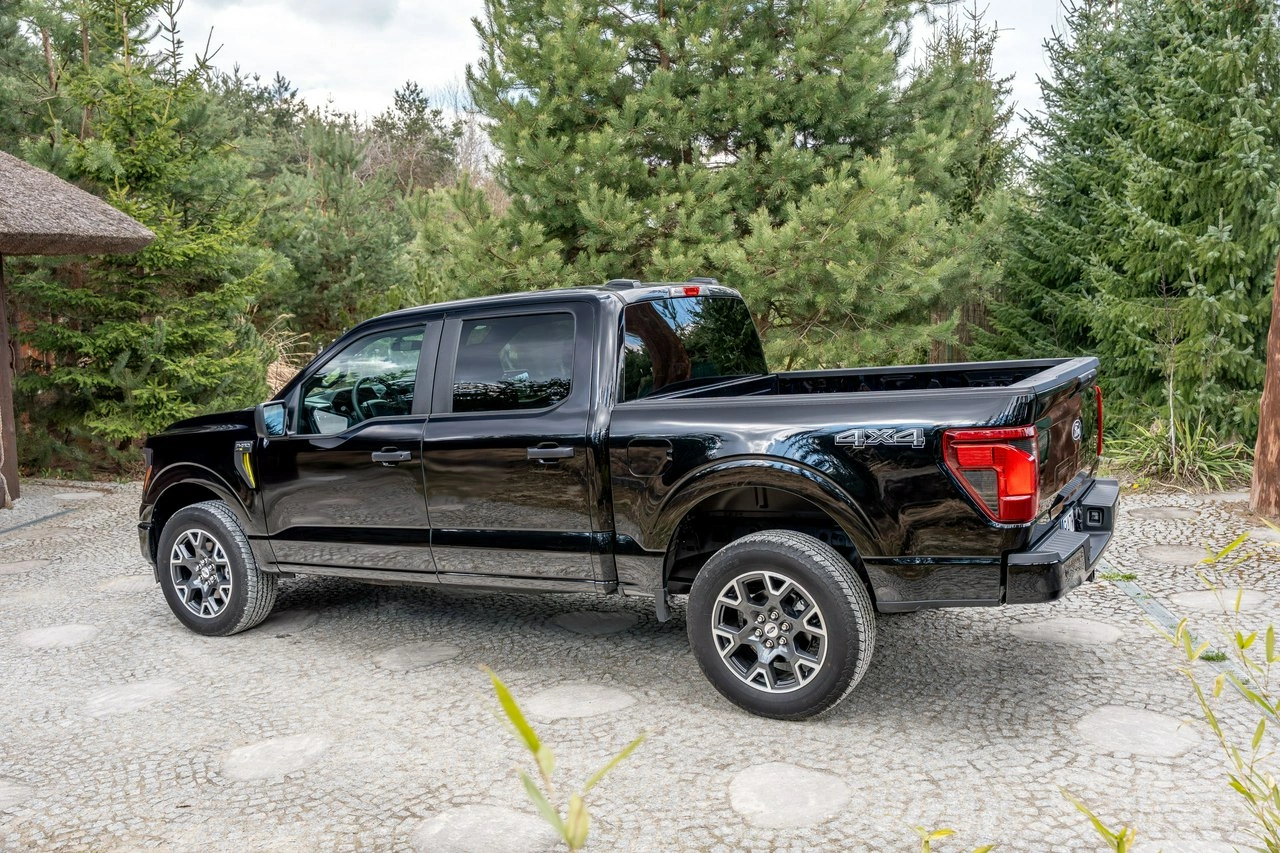 Ford F150 - Zdjęcie 25