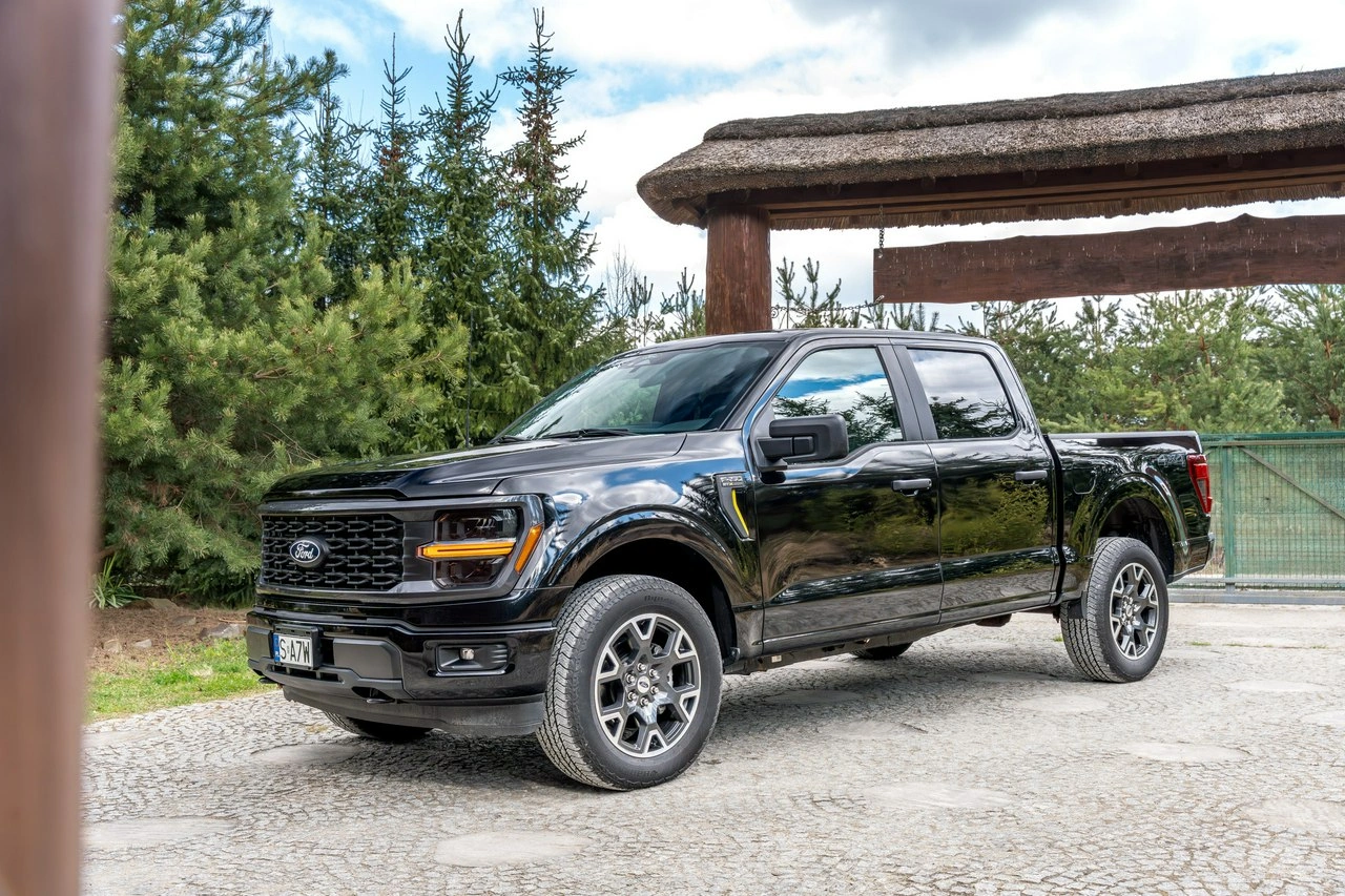 Ford F150 - Zdjęcie 26