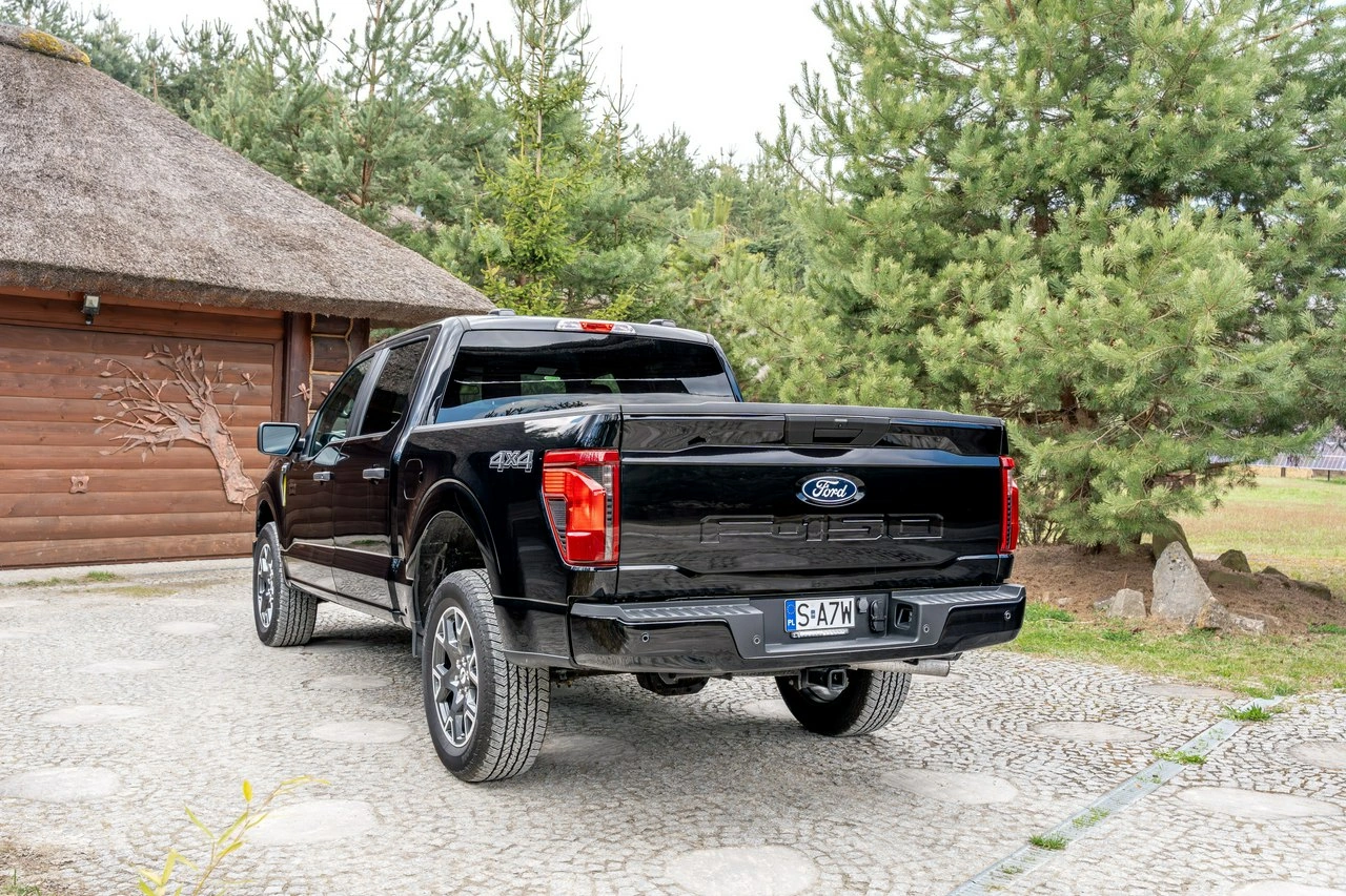 Ford F150 - Zdjęcie 29