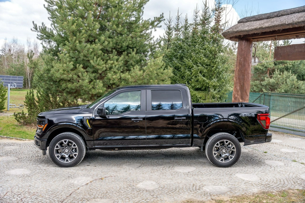 Ford F150 - Zdjęcie 6