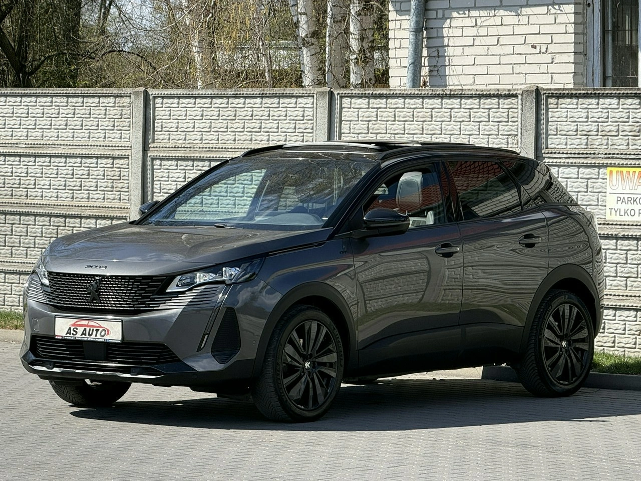 Peugeot 3008 - Zdjęcie 20