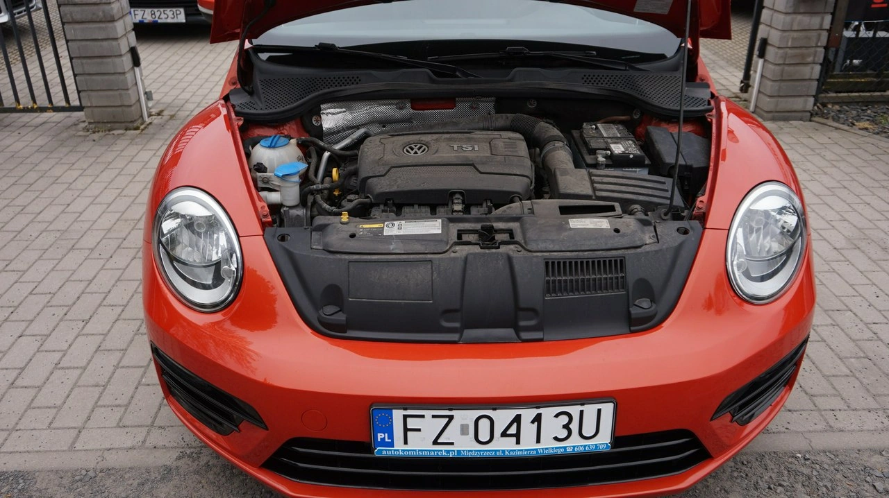 Volkswagen Beetle - Zdjęcie 13