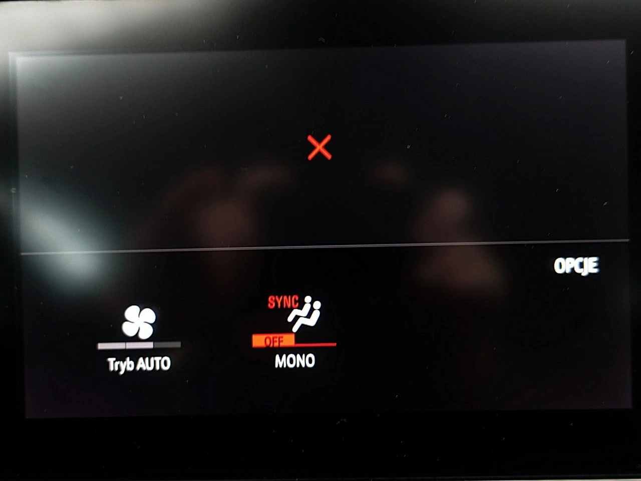 Opel Grandland - Zdjęcie 51