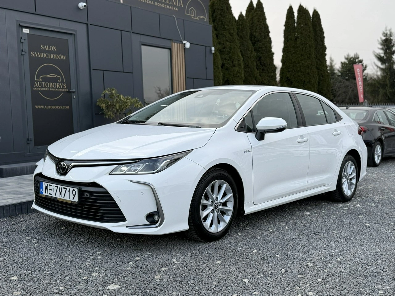 Toyota Corolla - Zdjęcie 6