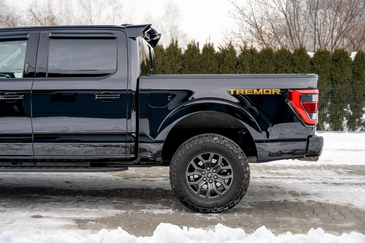 Ford F150 - Zdjęcie 15