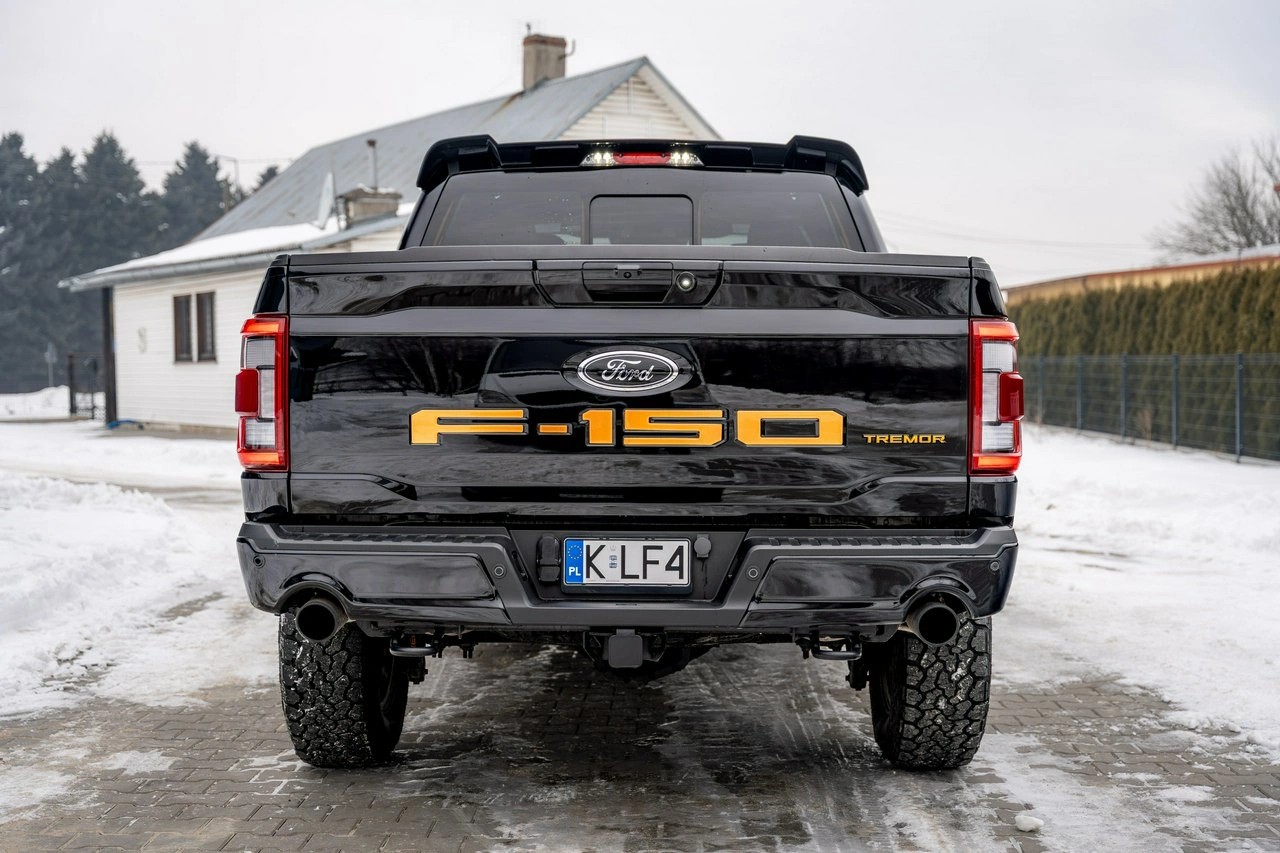 Ford F150 - Zdjęcie 18