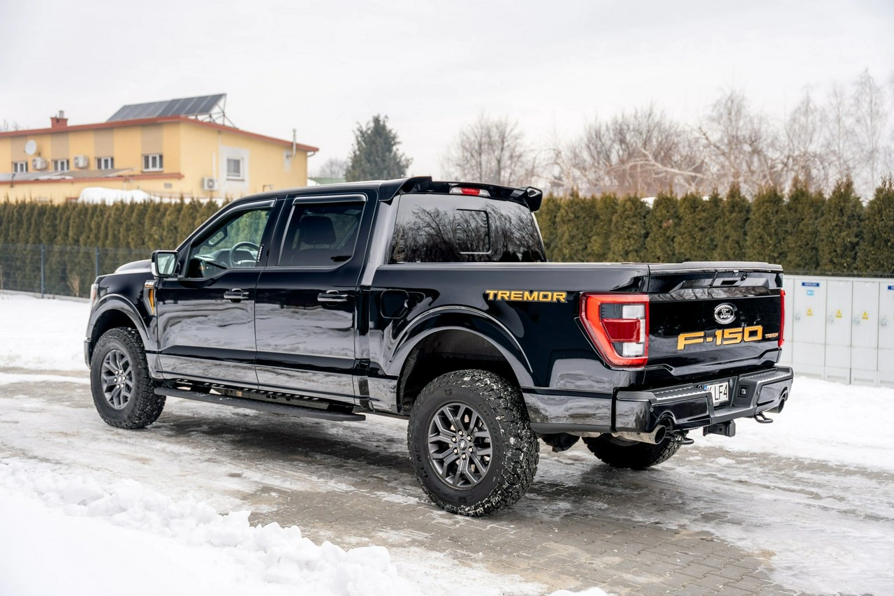 Ford F150 - Zdjęcie 20