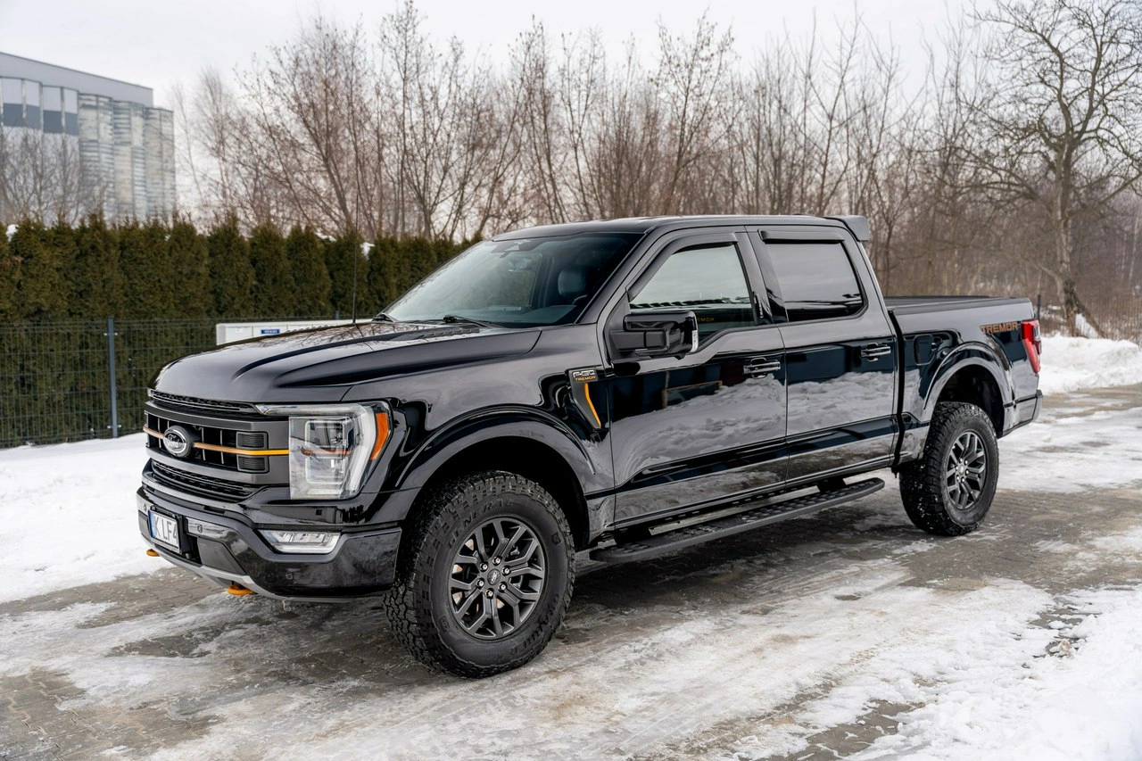 Ford F150 - Zdjęcie 21