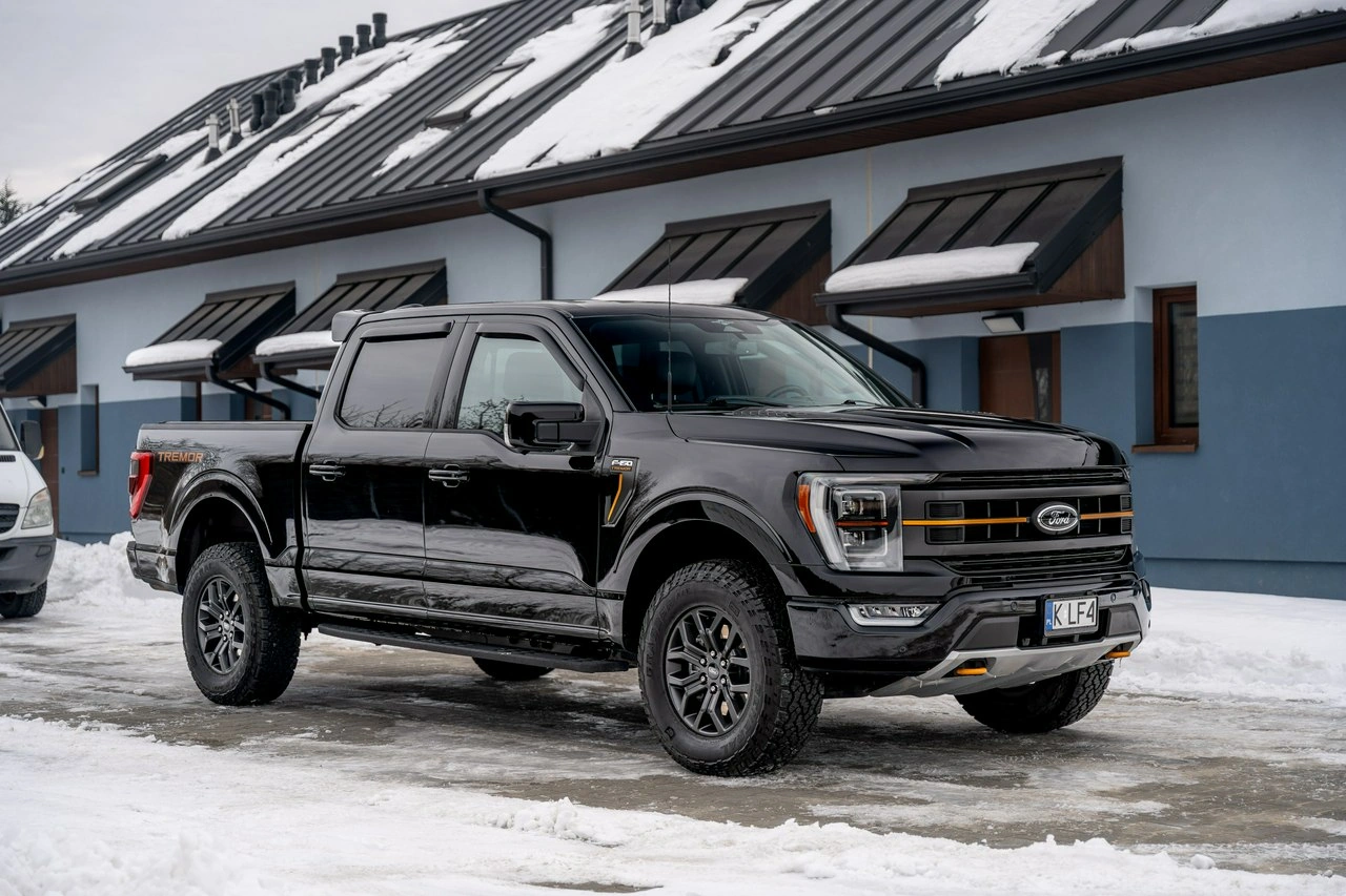 Ford F150 - Zdjęcie 22