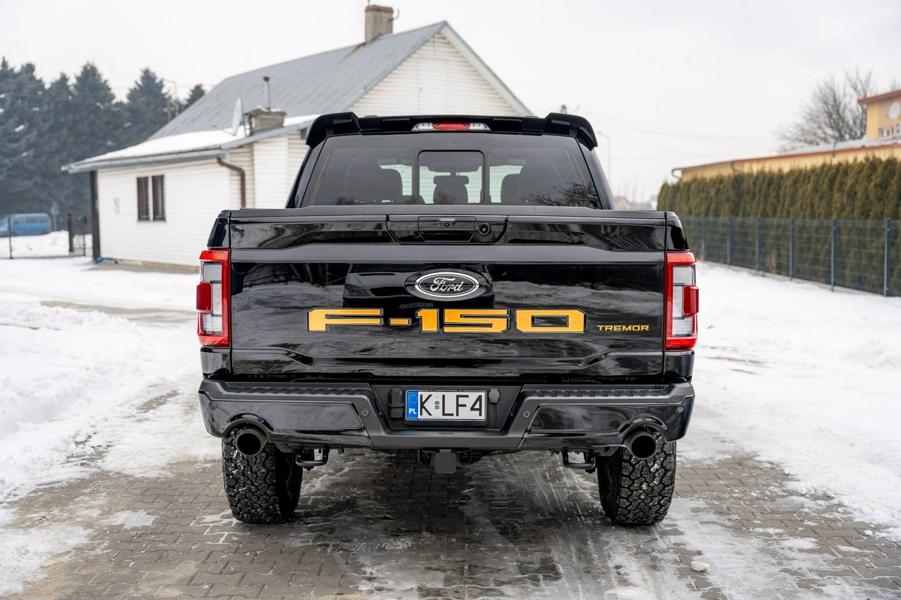 Ford F150 - Zdjęcie 5