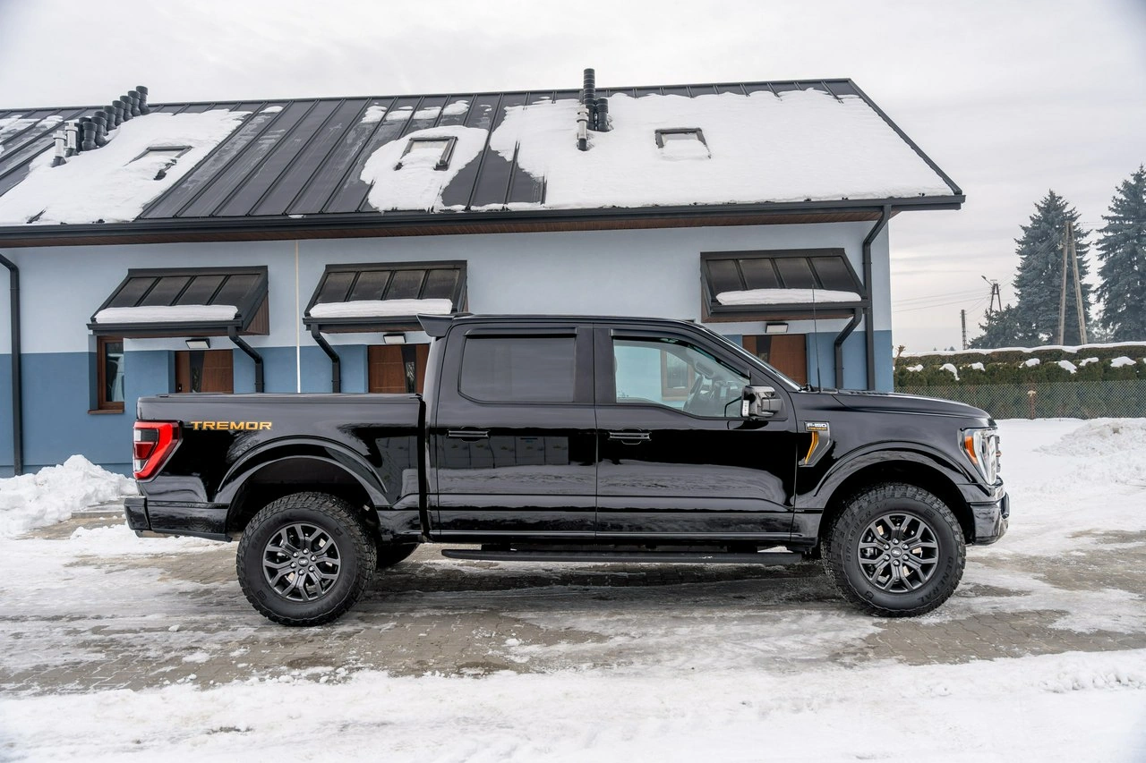 Ford F150 - Zdjęcie 6