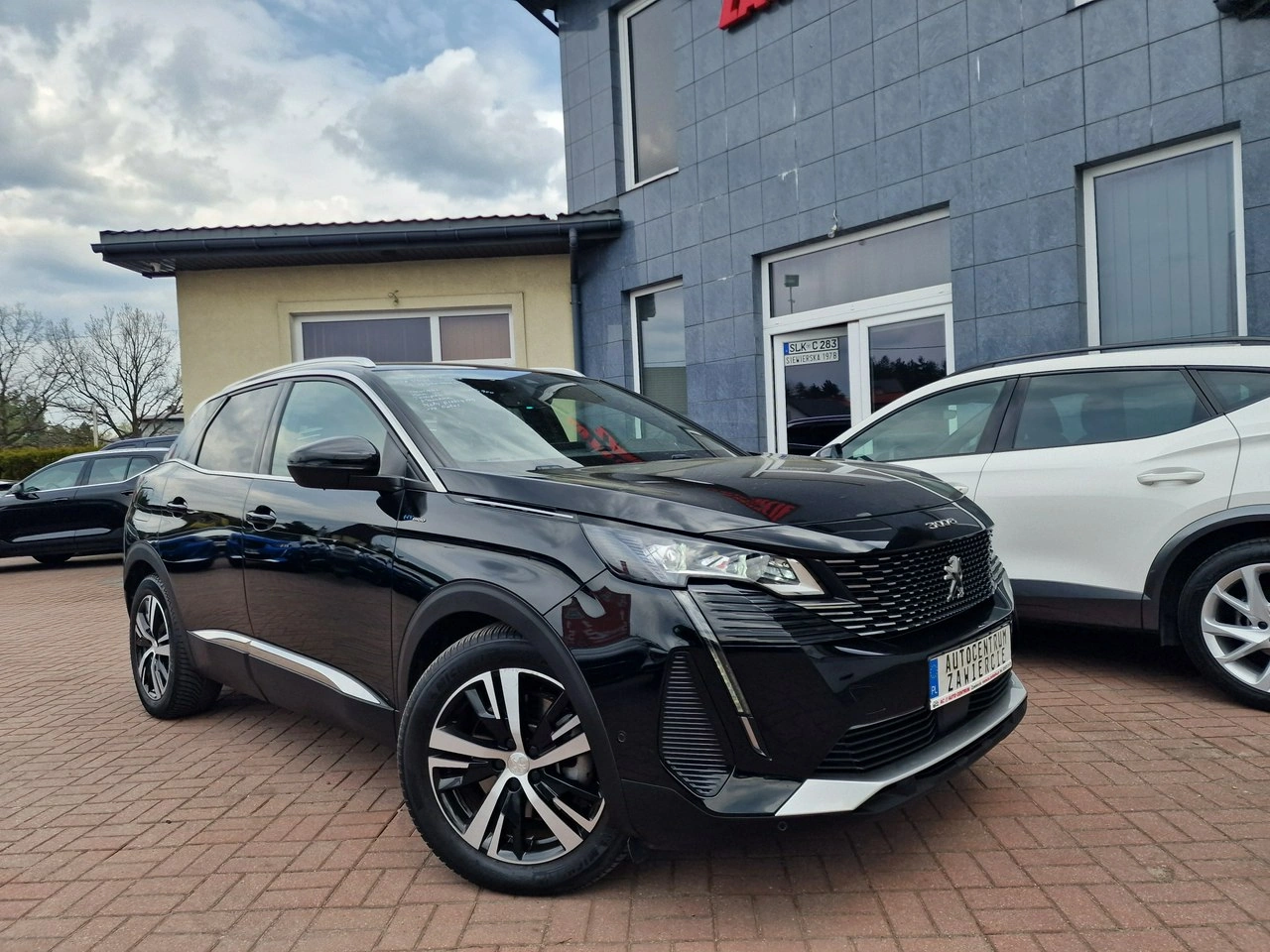 Peugeot 3008 - Zdjęcie 10