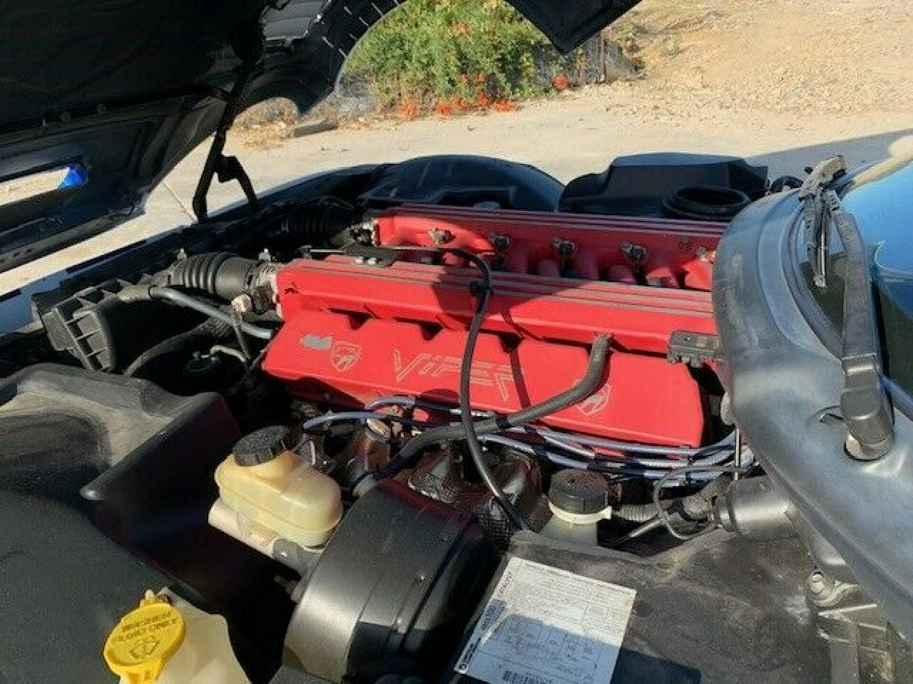 Dodge Viper - Zdjęcie 12