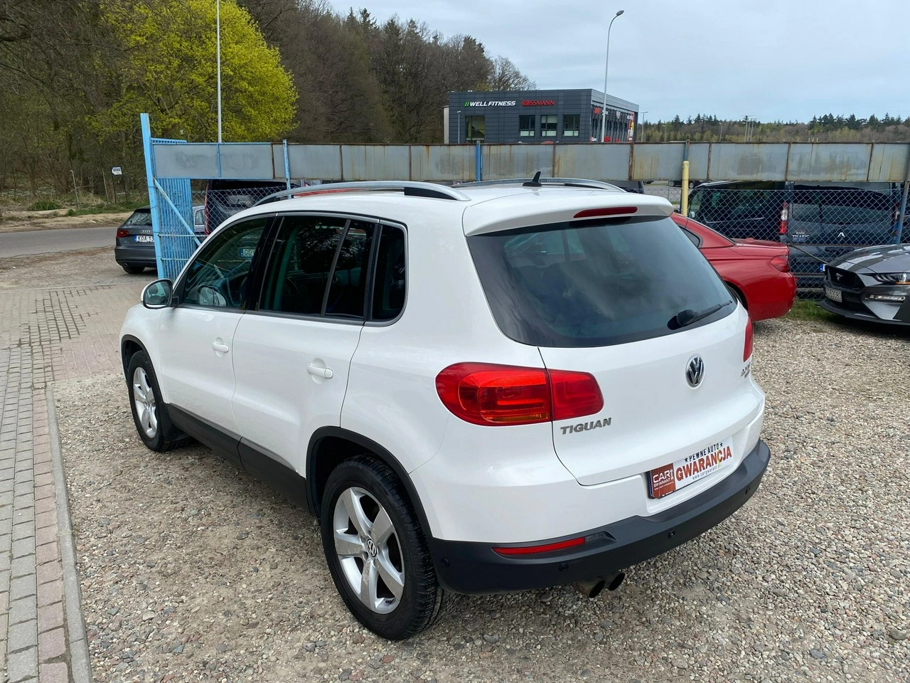 Volkswagen Tiguan - Zdjęcie 11