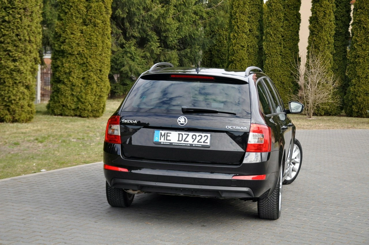 Skoda Octavia - Zdjęcie 6