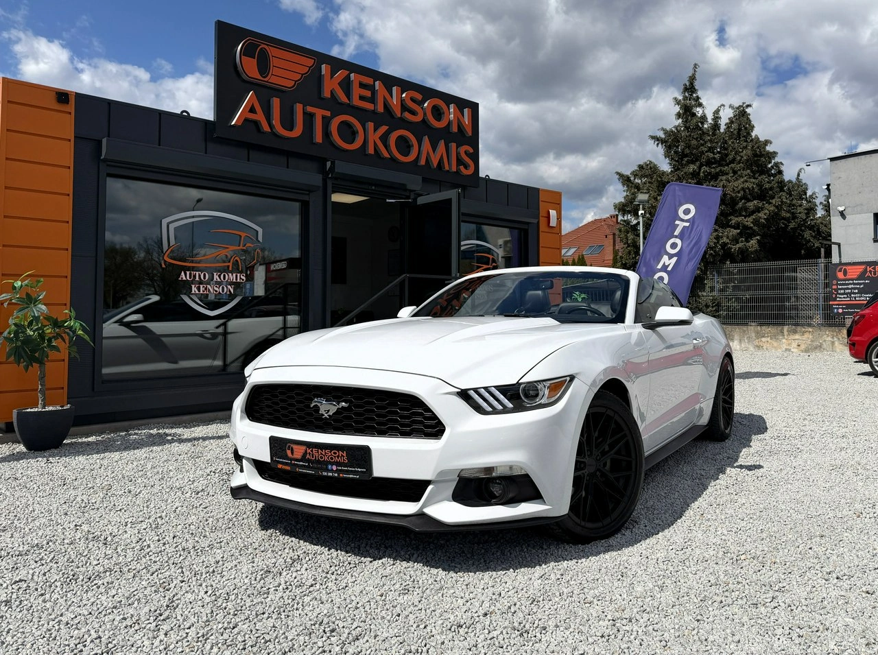 Ford Mustang - Zdjęcie 6