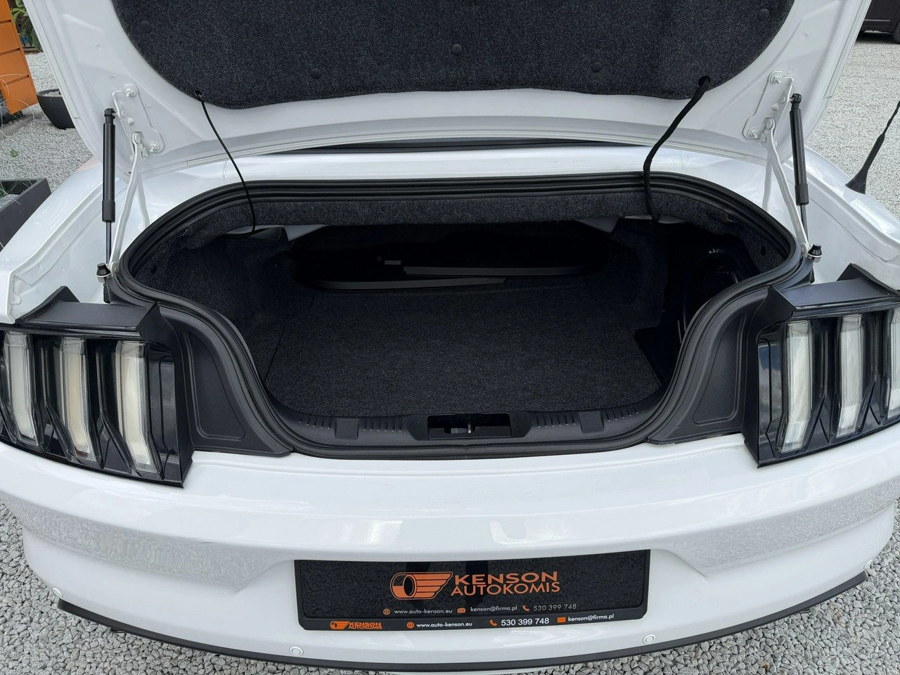 Ford Mustang - Zdjęcie 35