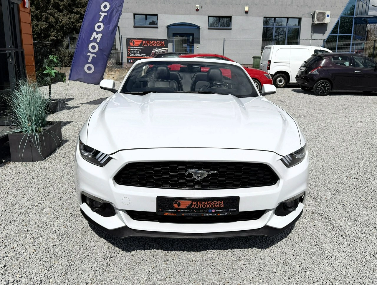 Ford Mustang - Zdjęcie 38