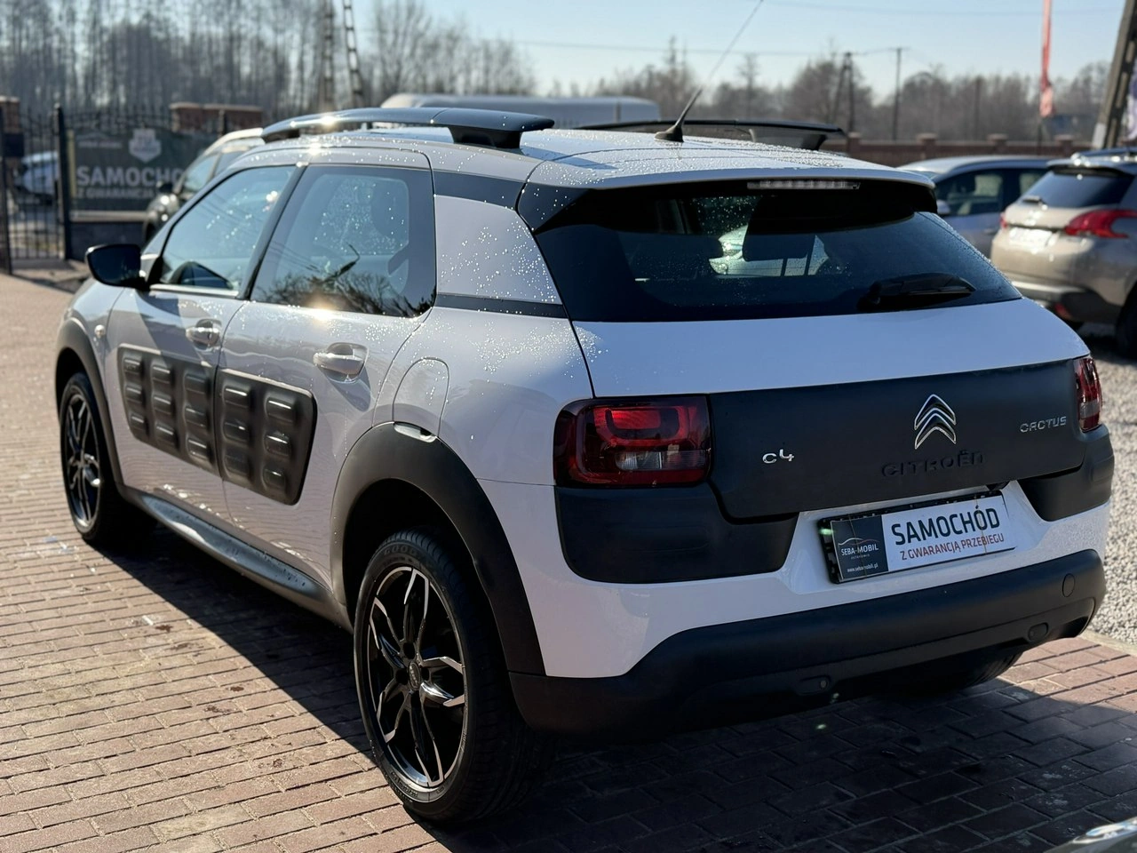 Citroën C4 Cactus - Zdjęcie 9