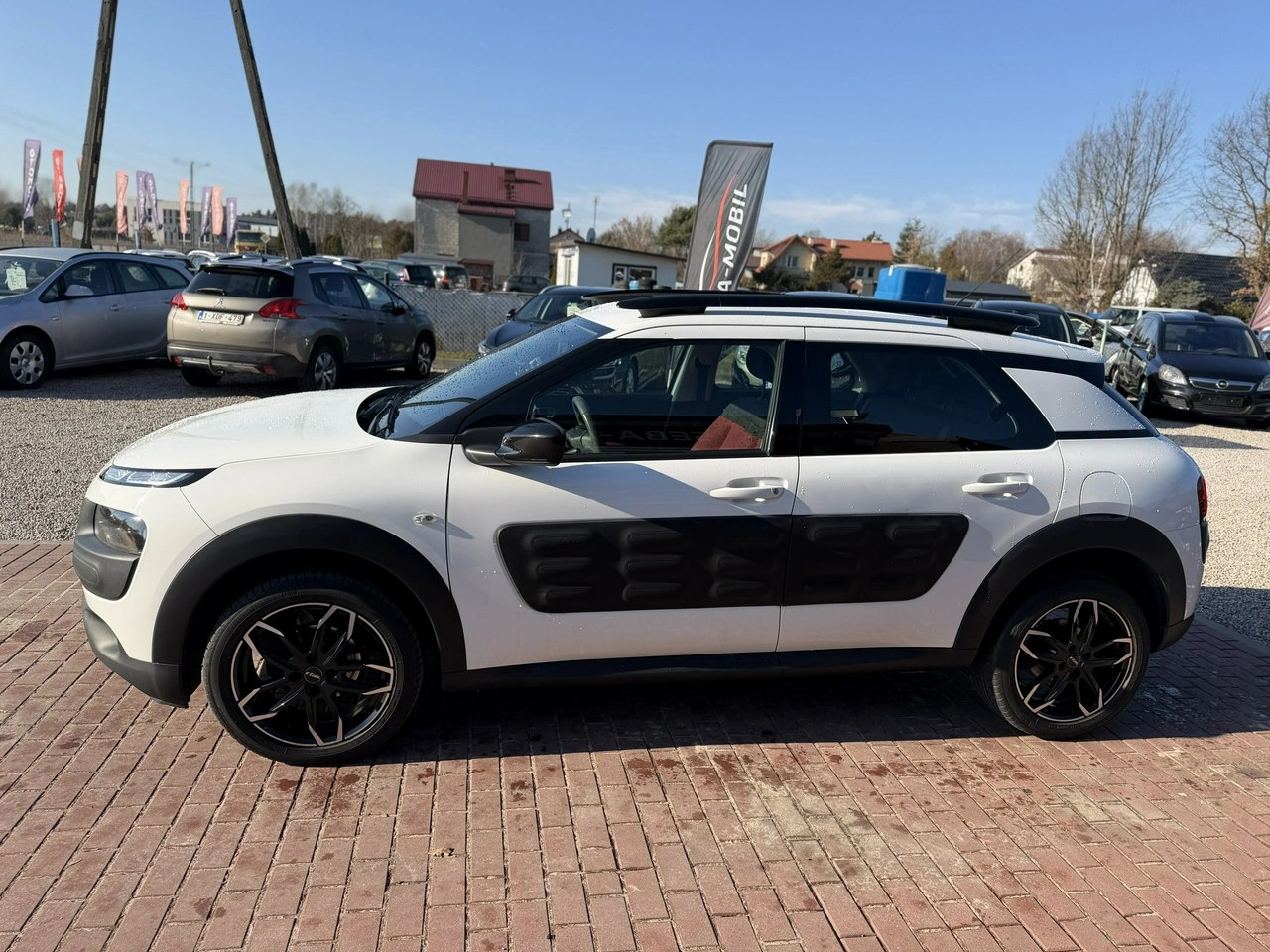 Citroën C4 Cactus - Zdjęcie 11
