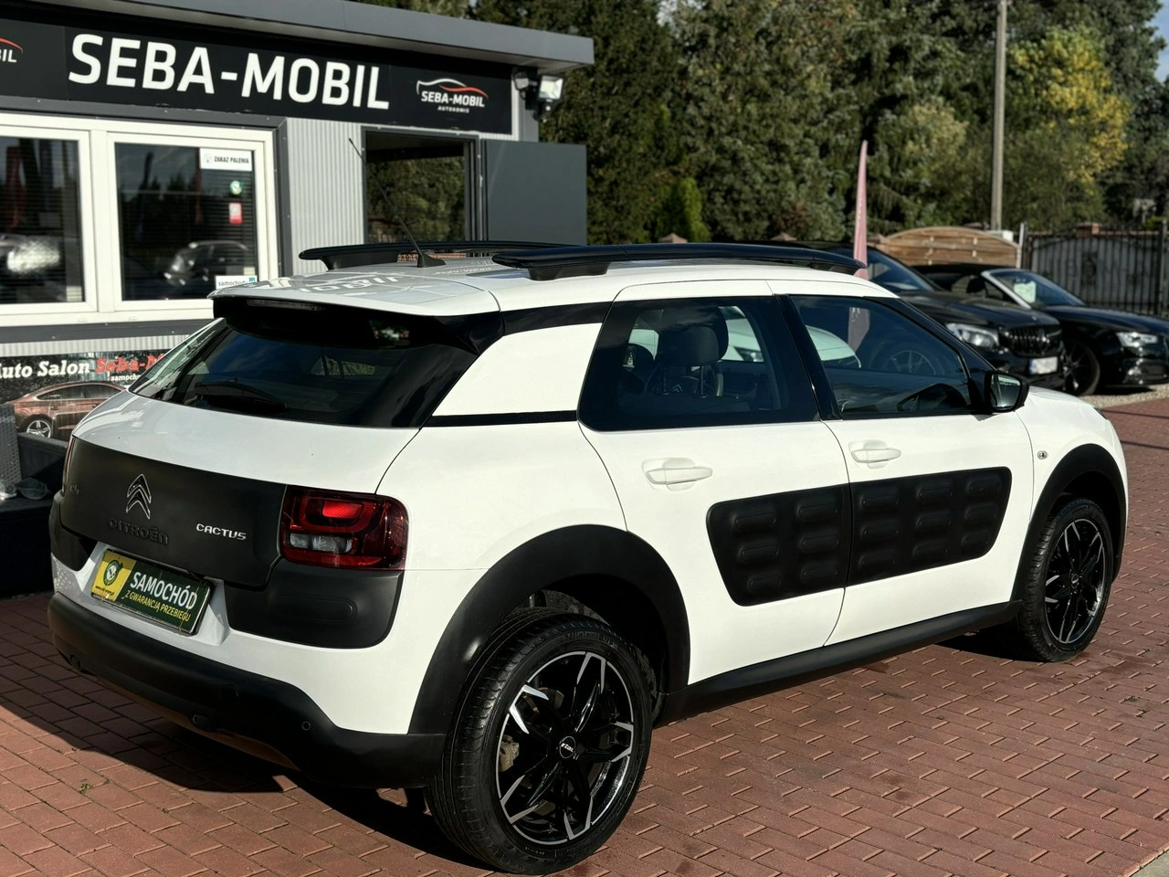 Citroën C4 Cactus - Zdjęcie 6