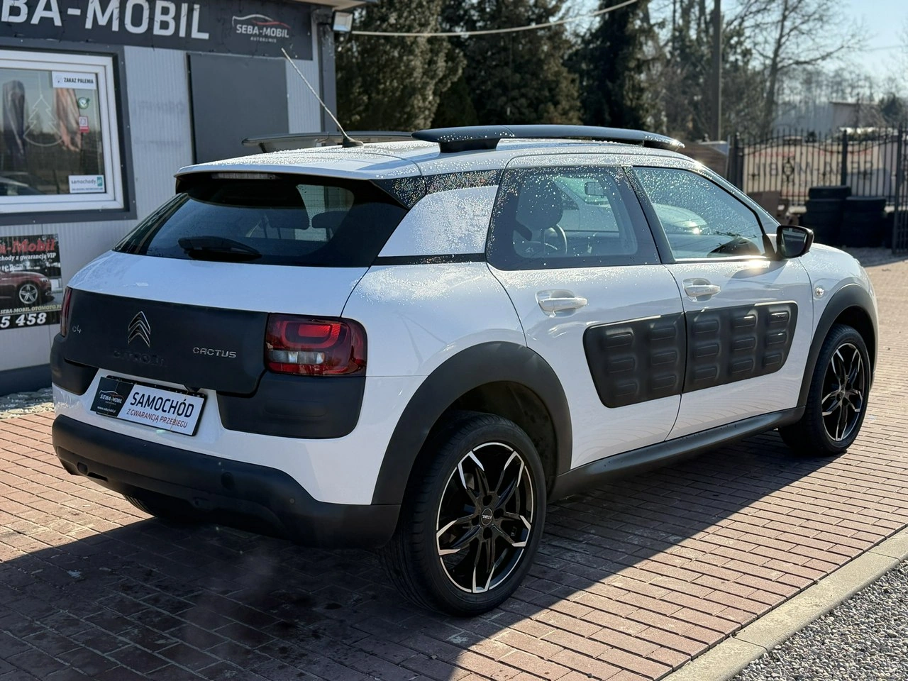 Citroën C4 Cactus - Zdjęcie 6