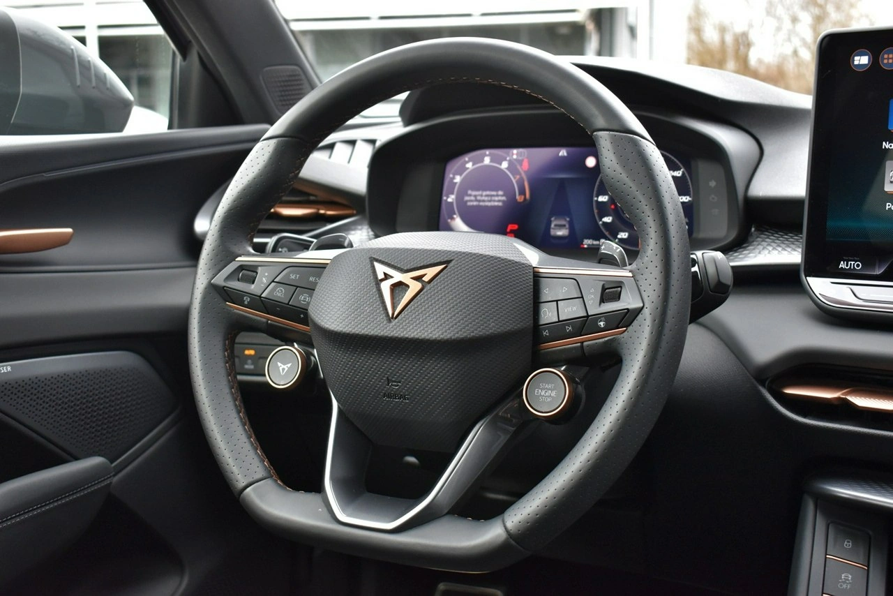 Cupra Terramar - Zdjęcie 21