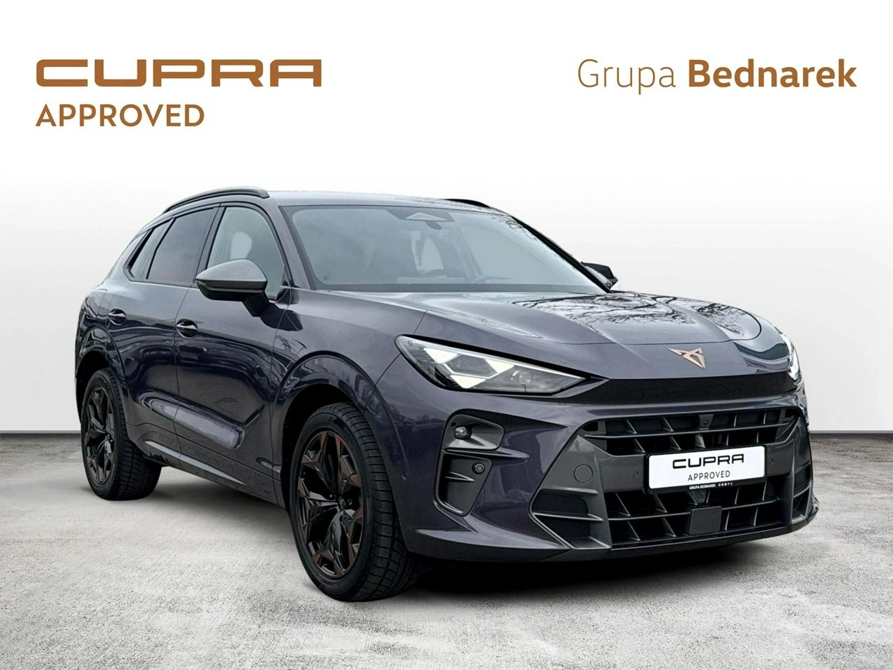 Cupra Terramar - Zdjęcie 6