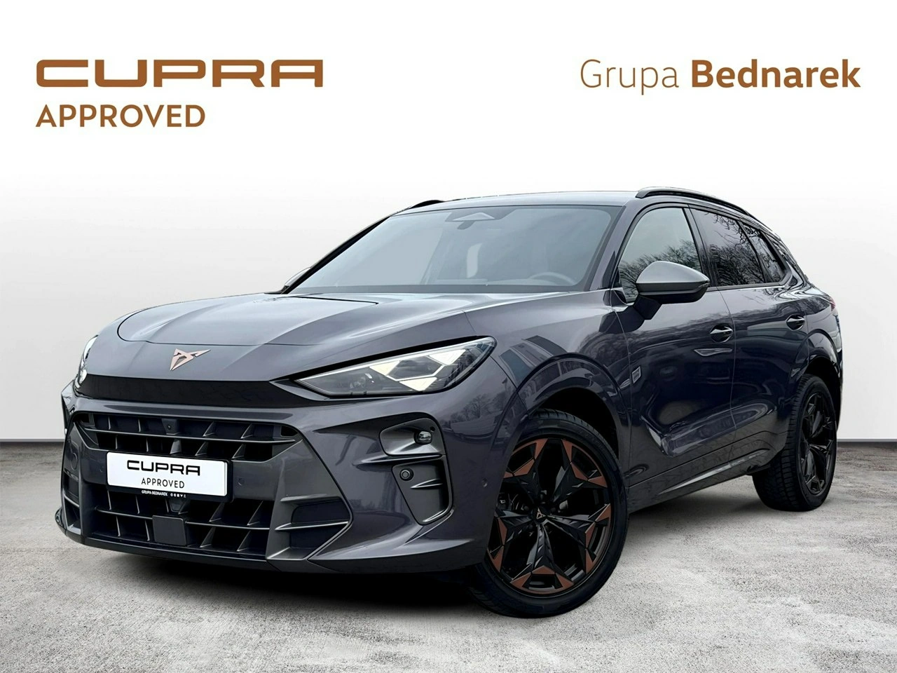 Cupra Terramar - Główne zdjęcie