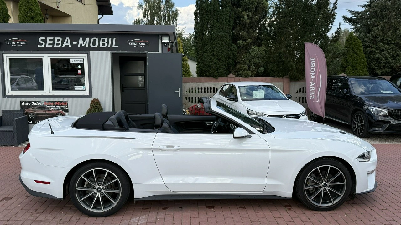 Ford Mustang - Zdjęcie 16