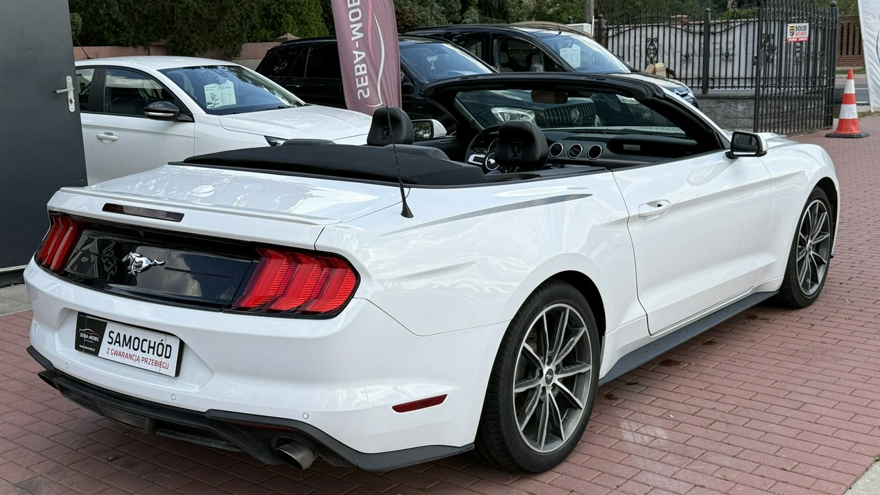 Ford Mustang - Zdjęcie 19