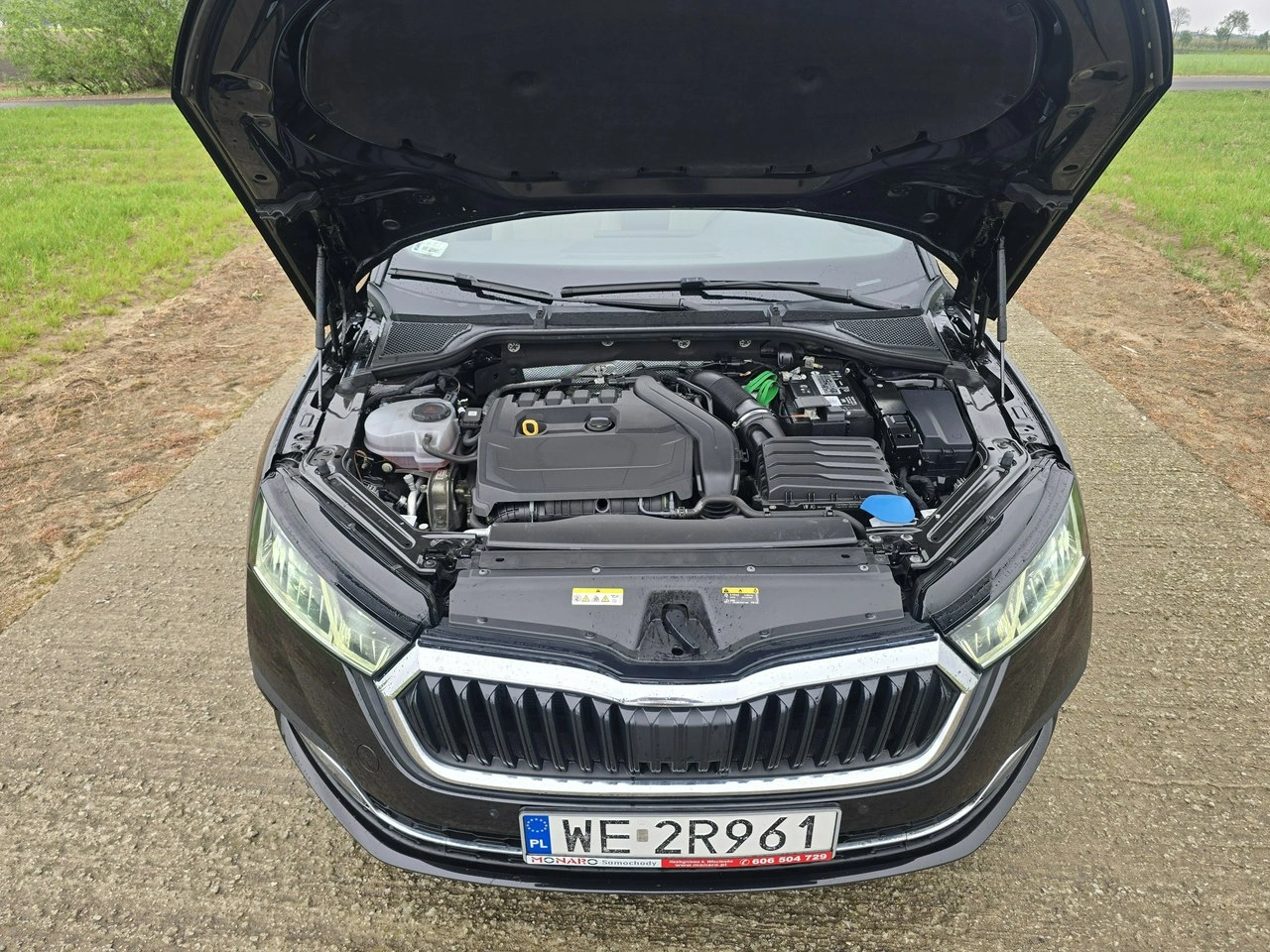 Skoda Octavia - Zdjęcie 31
