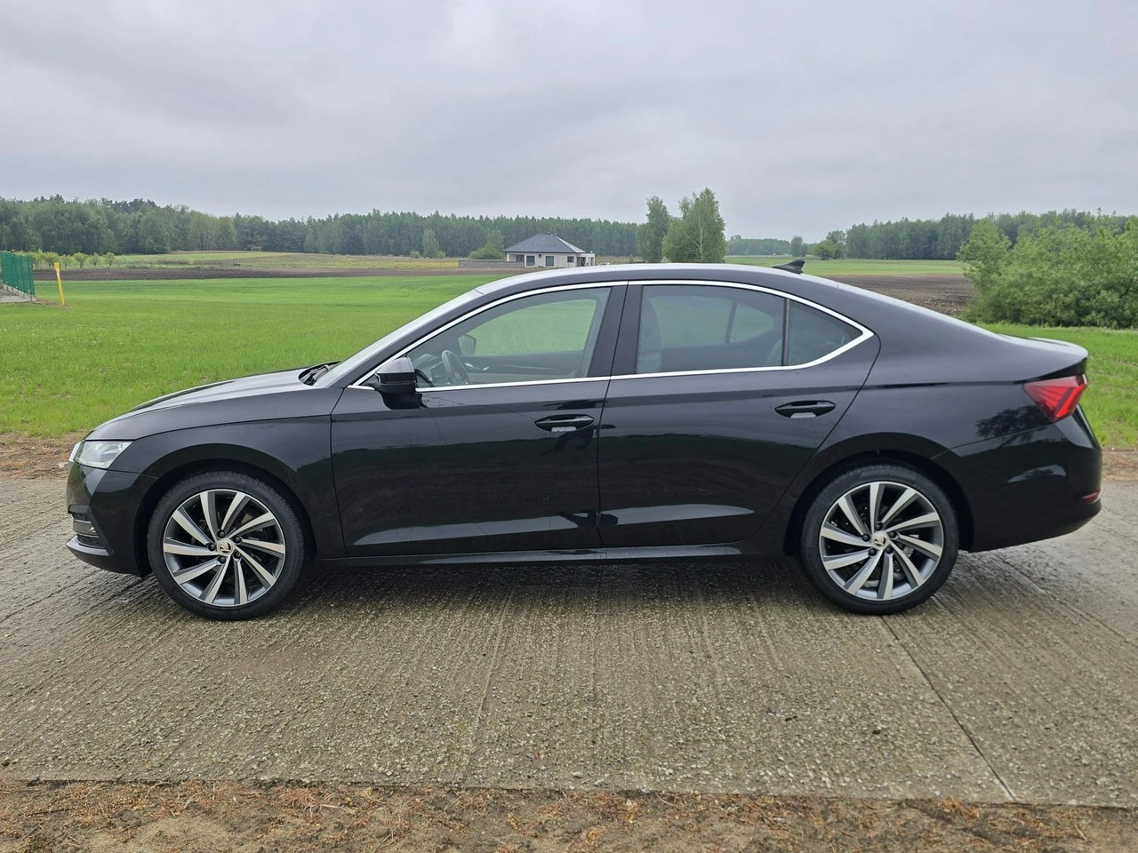 Skoda Octavia - Zdjęcie 6