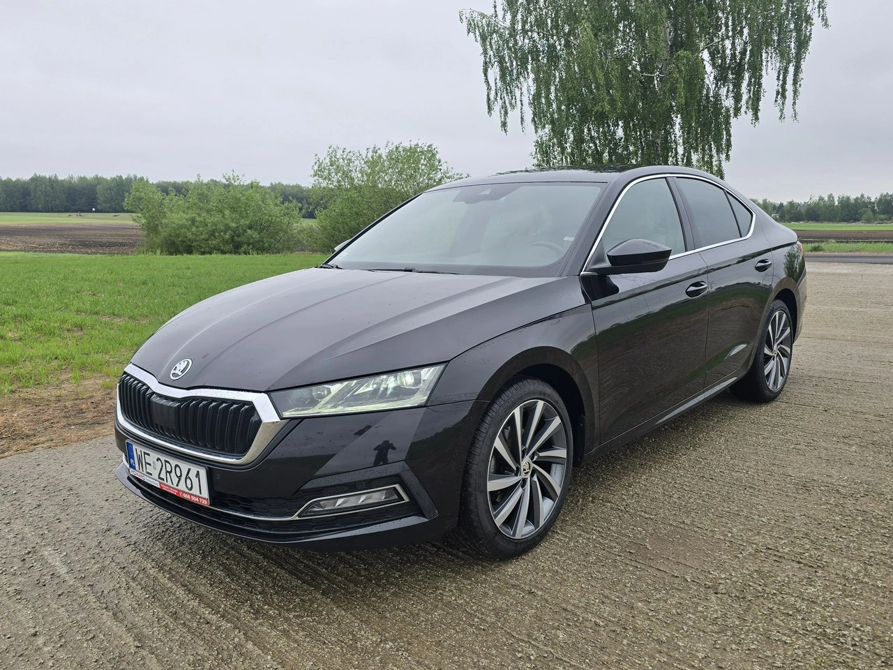 Skoda Octavia - Główne zdjęcie