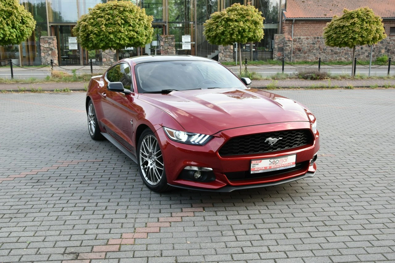 Ford Mustang - Zdjęcie 15