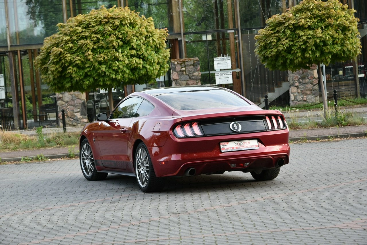 Ford Mustang - Zdjęcie 18