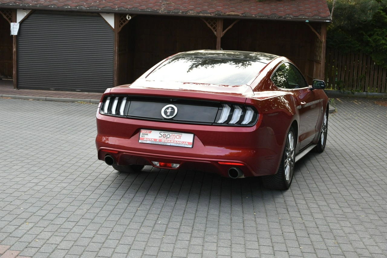Ford Mustang - Zdjęcie 19