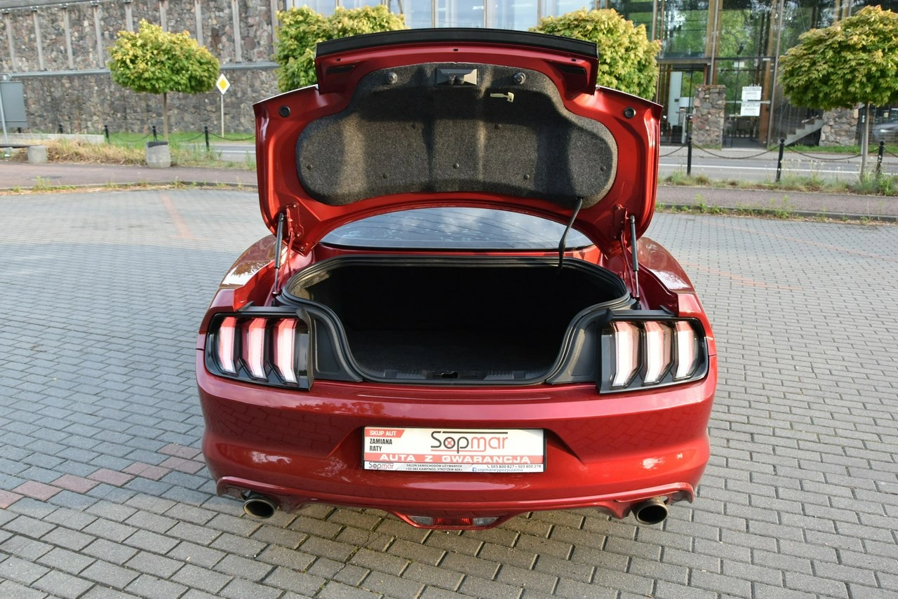 Ford Mustang - Zdjęcie 24