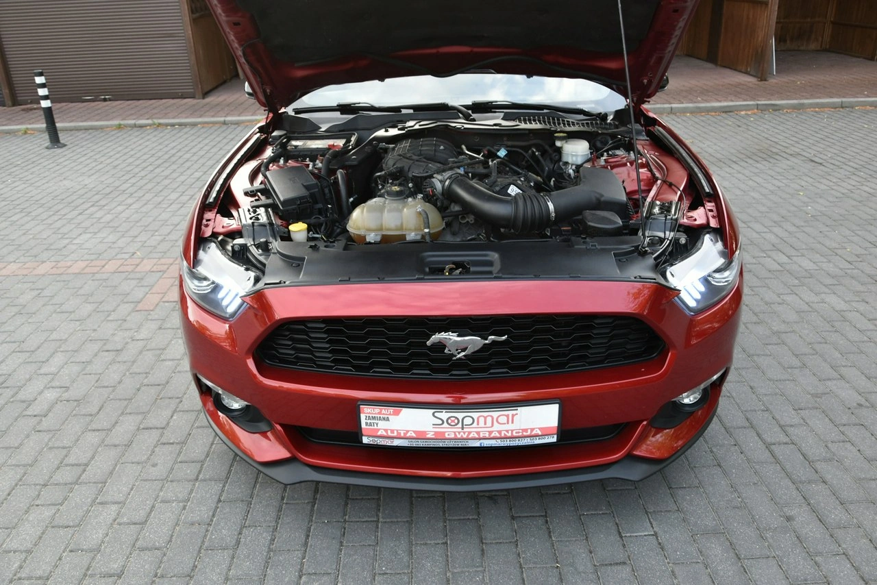 Ford Mustang - Zdjęcie 26