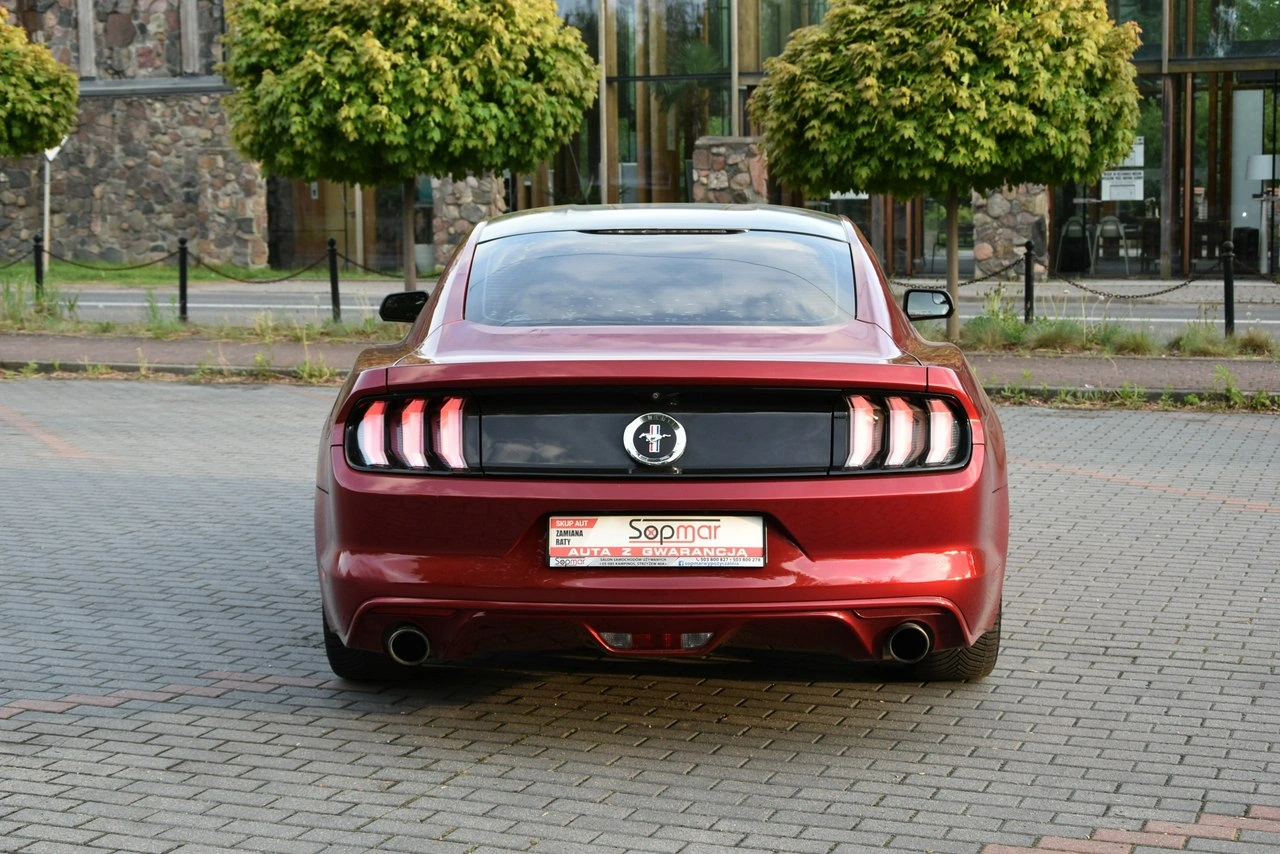 Ford Mustang - Zdjęcie 5