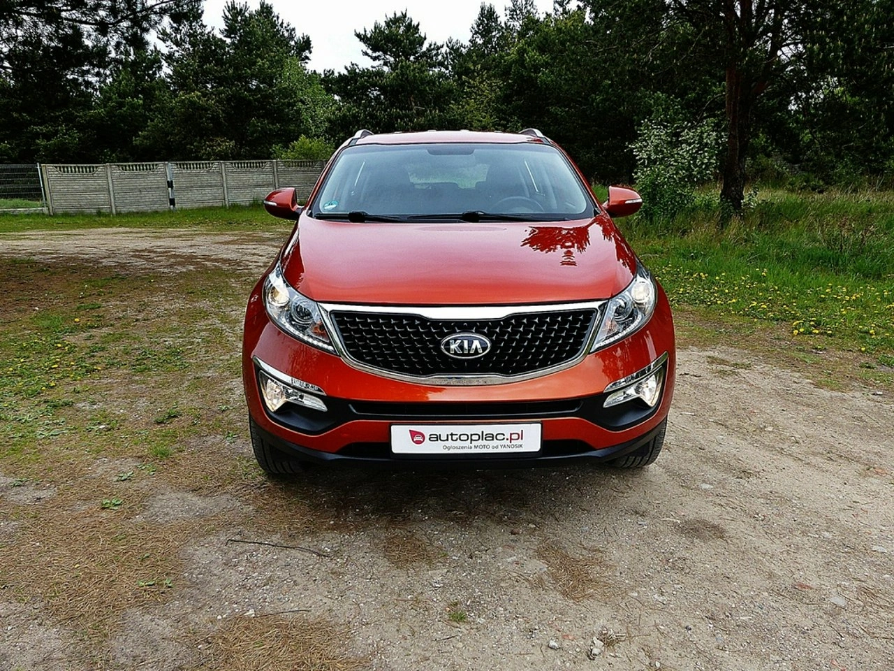 Kia Sportage - Zdjęcie 1