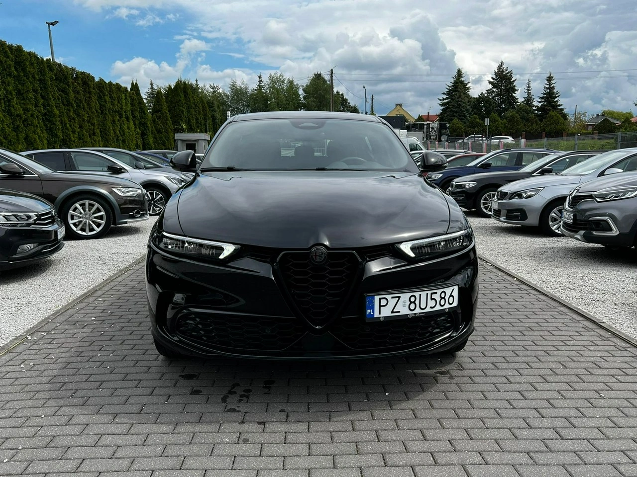 Alfa Romeo Tonale - Zdjęcie 1